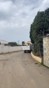 Photo de galerie - Taille d’Haies de cyprès 