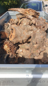 Photo de galerie - Vente de bois et livraison si besoin 