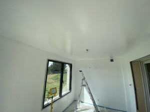 Photo de galerie - Peinture Mur Plafond 