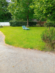 Photo de galerie - Tonte pelouse