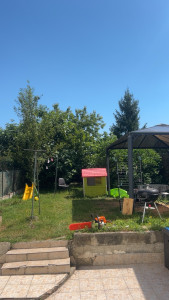 Photo de galerie - Abattage de 3 figuier 1 pommier et 1 cerisier 