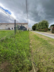 Photo de galerie - Tonte de pelouse - Débroussaillage