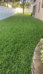 Photo de galerie - .