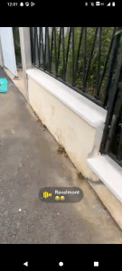 Photo de galerie - Maçonnerie