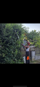 Photo de galerie - Taille de haie 
