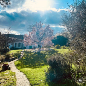 Photo de galerie - Création de jardin