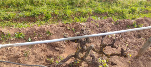 Photo de galerie - Bricolage et multi services