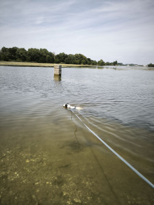 Photo de galerie - Il fait chaud on saute à l'eau