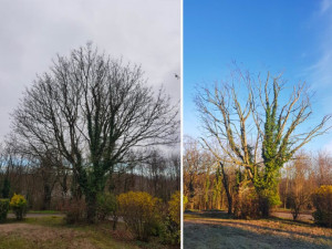 Photo de galerie - J.D services 