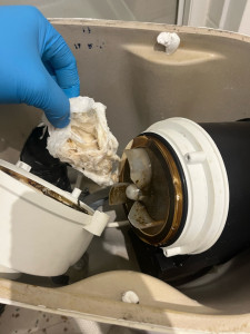 Photo de galerie - Intervention sur un wc Sanibroyeur bloqué ! 