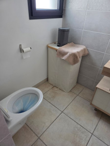 Photo de galerie - Nettoyage des 2 wc