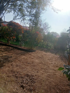 Photo de galerie - Enlèvement de bambou et des racines avec mini-pelle + nivelage du terrain. 