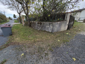 Photo de galerie - Taille de haies et d'arbustes