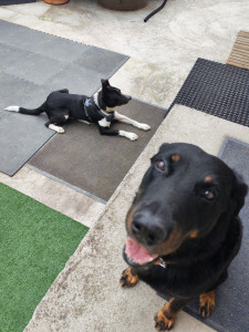 Photo de galerie - Petites truffes, grands sourires 