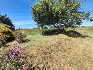 Photo de galerie - Tonte de pelouse - Débroussaillage