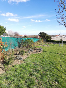 Photo de galerie - Désherbage 