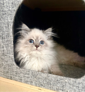 Photo de galerie - AIMY