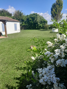 Photo de galerie - Entretien d un jardin à l année à St Sulpice de Royan.