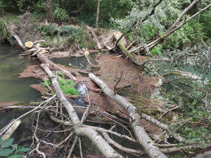 Photo de galerie - Avant 