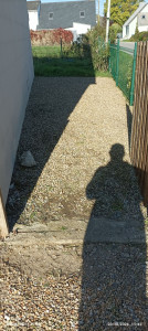 Photo de galerie - Désherbage manuellement.