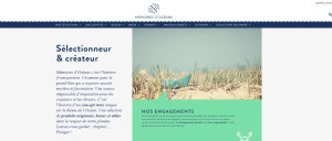 Photo de galerie - Maintenance et modernisation d'un wordpress
mise à jour des contenus