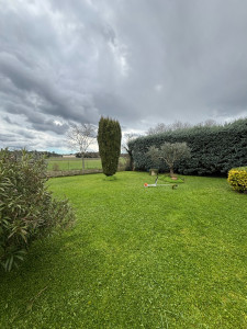 Photo de galerie - Tonte de pelouse - Débroussaillage