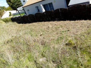Photo de galerie - Tonte de pelouse - Débroussaillage