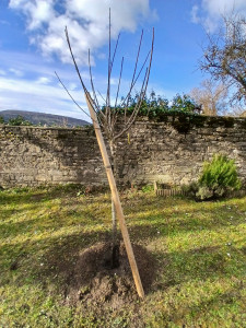 Photo de galerie - Paysagiste - Aménagement du jardin