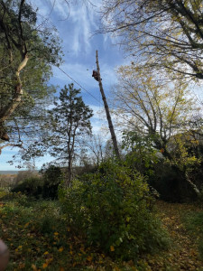 Photo de galerie - Démontage pin 