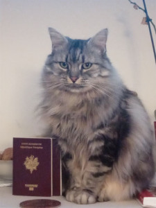 Photo de galerie - Garde petits animaux à mon domicile (sauf chien) ou proche du Parc Millet à Achères 
