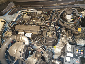 Photo de galerie - Pas facile la vanne EGR  mains de fée 
