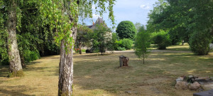 Photo de galerie - Tonte de pelouse - Débroussaillage