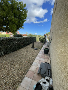 Photo de galerie - Taille de haies 