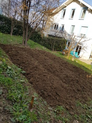 Photo de galerie - Préparation du jardin 