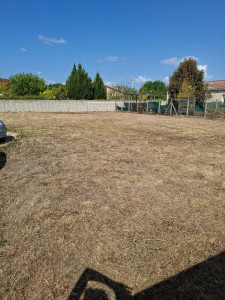 Photo de galerie - Un apres de la tonte et débroussailleuse 