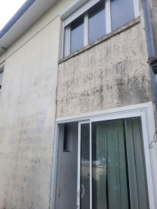 Photo de galerie - Peinture - Tapisserie