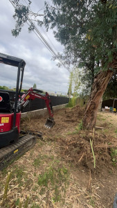 Photo de galerie - Enlèvement et Évacuation de bambou