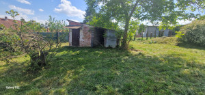 Photo de galerie - Tonte de pelouse - Débroussaillage