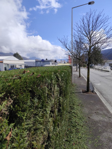 Photo de galerie - Après 