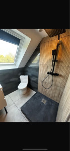 Photo de galerie - Rénovation d’un salle de bain 