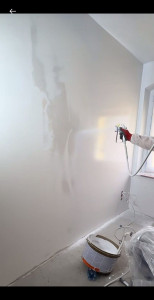 Photo de galerie - Peinture 