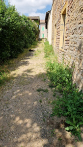 Photo de galerie - Tonte de pelouse - Débroussaillage
