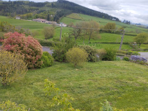 Photo de galerie - Tonte pelouse 250 m²