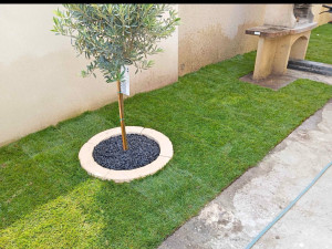 Photo de galerie - Gazon et plantes 