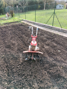 Photo de galerie - étant en possession d'un motoculteur je peux retourner votre jardin massif ou autre !