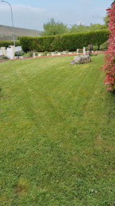 Photo de galerie - Tonte pelouse !
