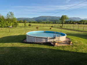 Photo de galerie - Tonte et bordures et entretien des arbustes