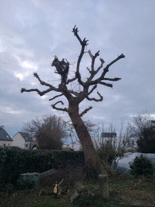 Photo de galerie - Avant/après 