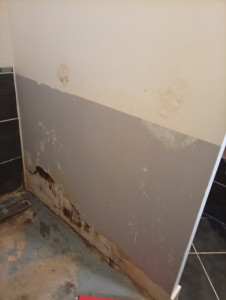 Photo de galerie - Traitement , plâtrerie,  pose de galet 