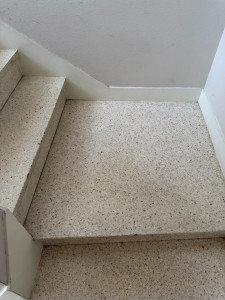 Photo de galerie - Escalier nettoyer 